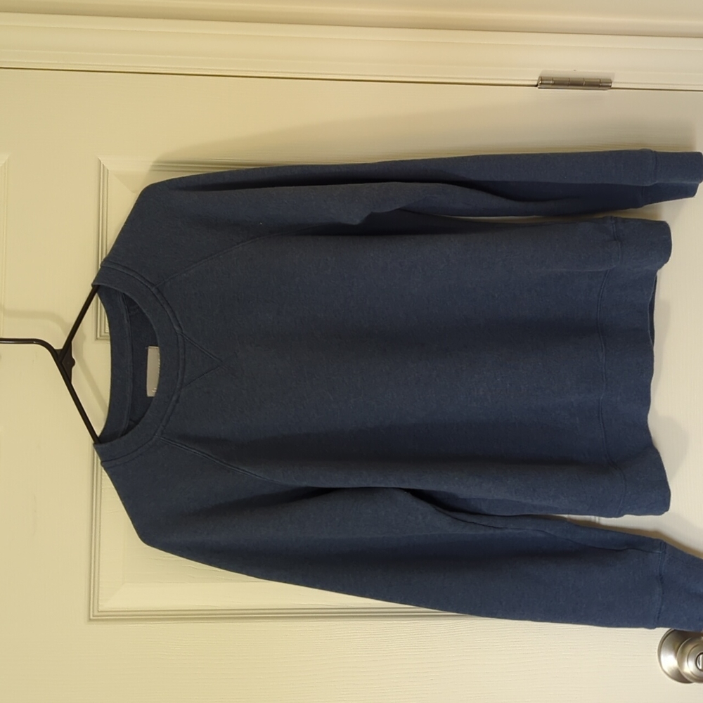 Everlane blue pullover sweatshirt